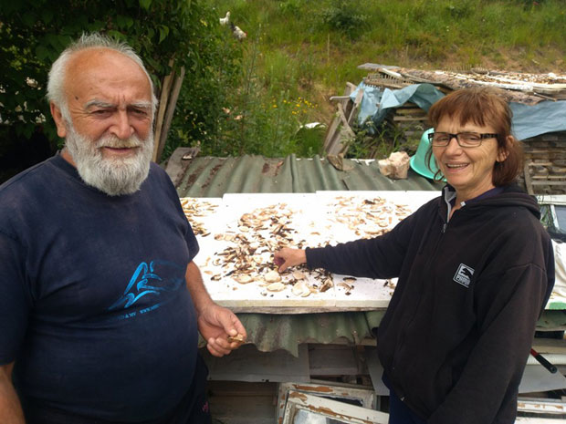 ПЛОДОВИ НА ВЛАСИНСКОЈ ВИСОРАВНИ: Ми беремо, други пакују и зарађују